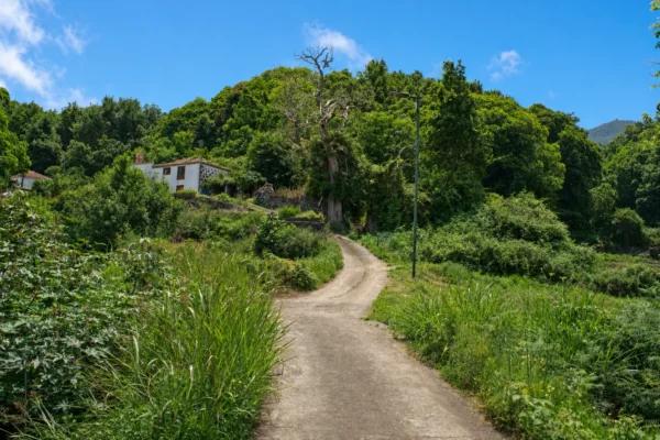 La calle de La Galga, con pocas casas y el barranco alrededor